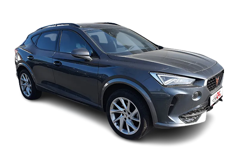 Cupra Formentor, Cupra Drive Profile, PDC, Kamera, Klima, ACC, Keyless-Go, Schaltwippen