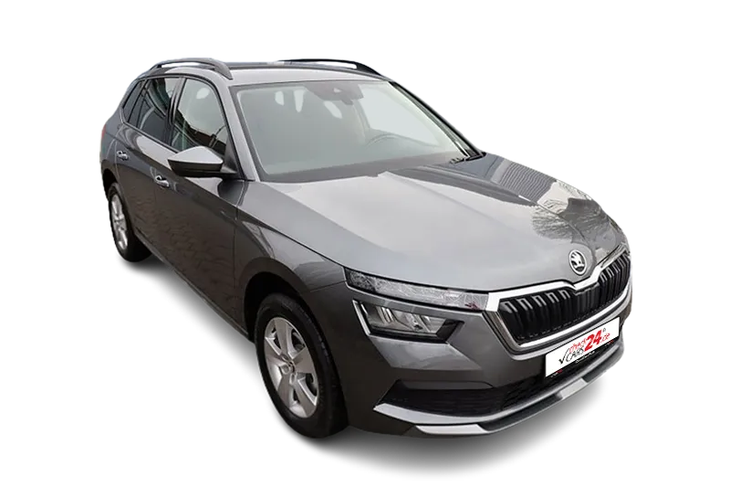 Škoda Kamiq | Grau Metallic | Tempomat, App-Connect, Einparkhilfe, SHZ, Klima