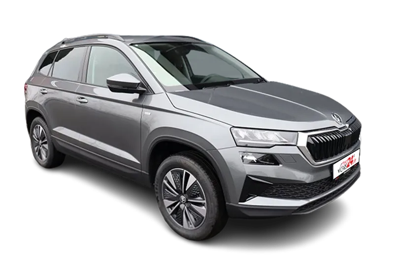 Škoda Karoq Tour 4x4 | Grau Metallic | Virtual Cockpit, Škoda Navi, PDC v+h, Kamera, SHZ, Tempomat, LM 17 Zoll