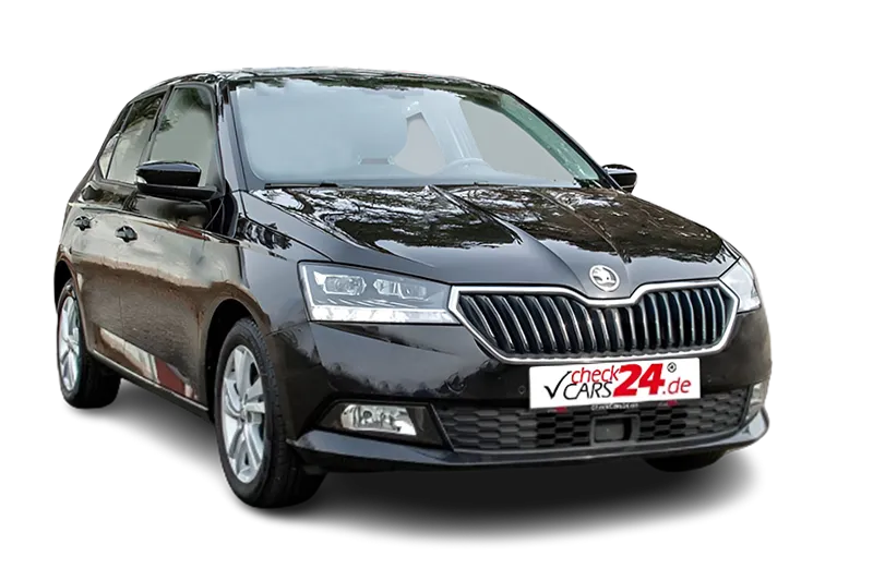 Skoda Fabia Drive 1.0 TSI, Kamera, PDC v+h, Navi, Klimaautomatik, Sportfahrwerk, Tempomat, SHZ