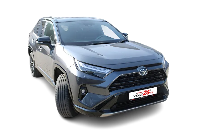 Toyota RAV4 2.5 Hybrid Dk-Style AWD-i Allrad Keyless-Go, Toyota Touch, Klima, LM 19 Zoll, PDC v+h, Kamera