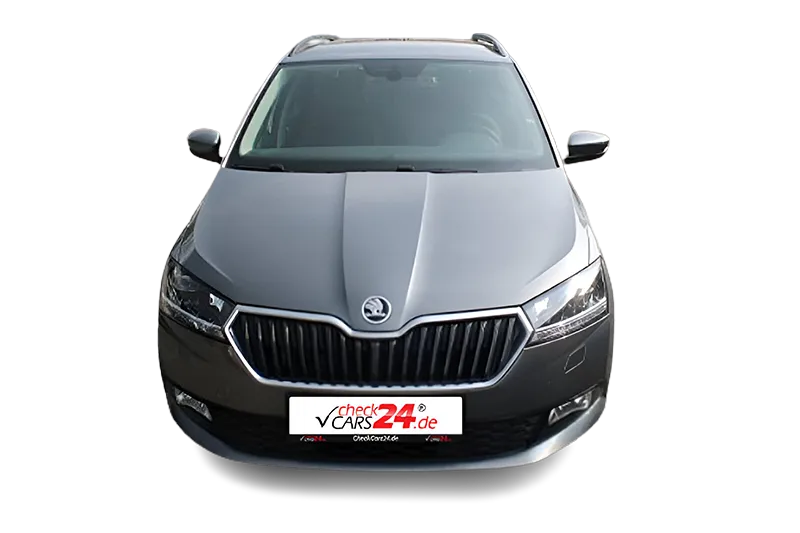 Škoda Fabia Life 1.0 TSI, Tempomat, MirrorLink, PDC, Kamera, SHZ, LED