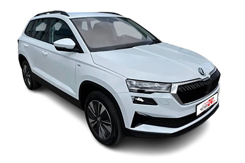 Skoda Karoq, Navi, Klima, Kamera, SHZ, PDC, LM 17 Zoll, DAB+