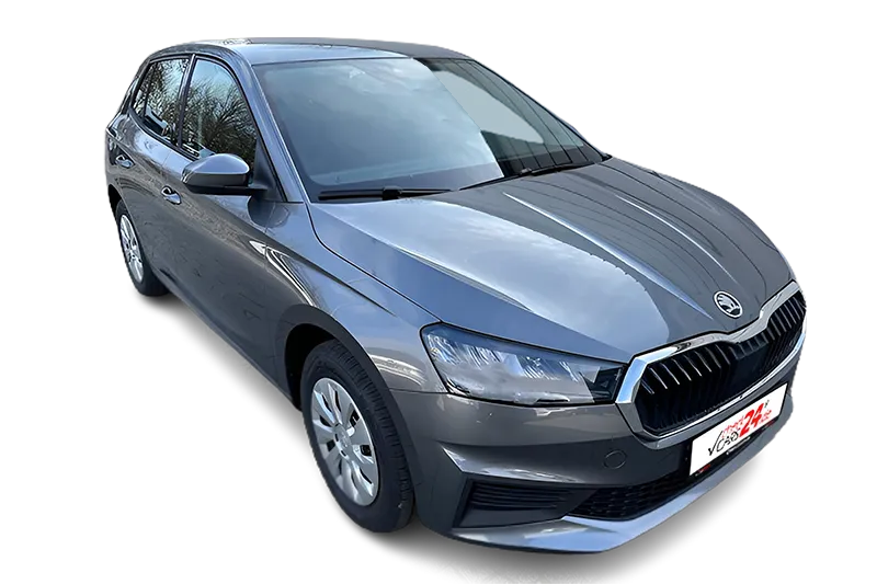 Škoda Fabia Active | Grau Metallic | SmartLink, PDC, SHZ