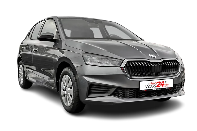 Škoda Fabia Active | Grau Metallic | PDC, Kurvenlicht, SHZ, SmartLink