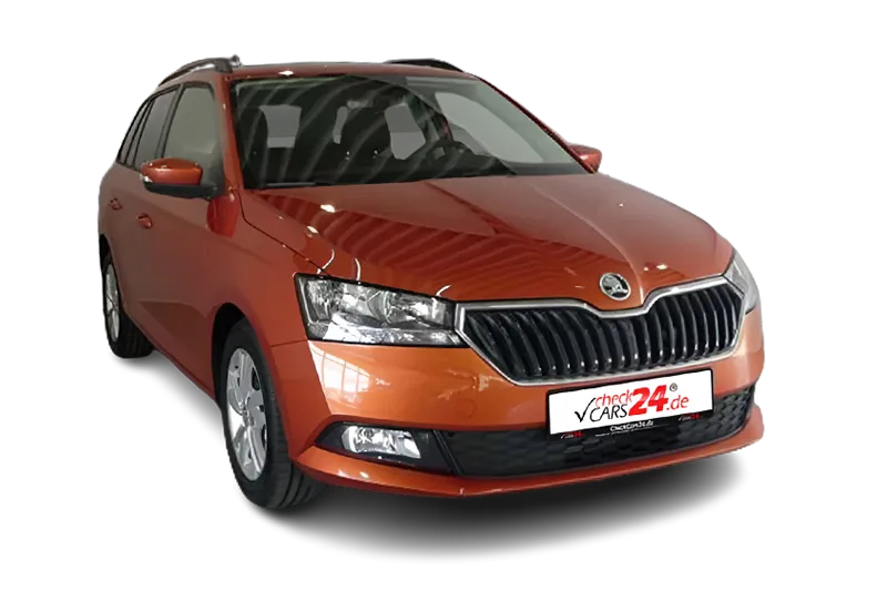 Skoda Fabia Combi 1.0 TSI Ambition Tempomat, LED, Klima, Nebelscheinwerfer, SHZ, DAB, ZV